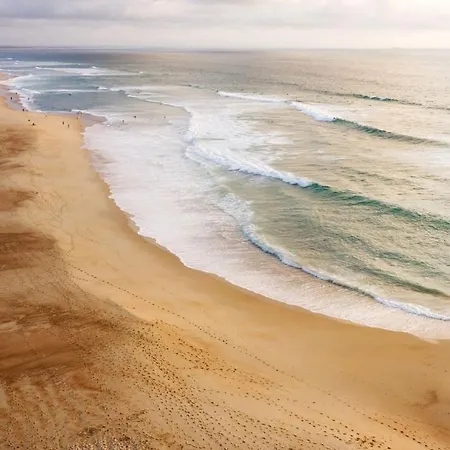 Appart' Cocooning Pret De La Foret Apartman Seignosse