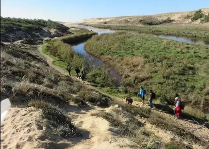 Appart' Cocooning Pret De La Foret * セノッス - ル・ペノン