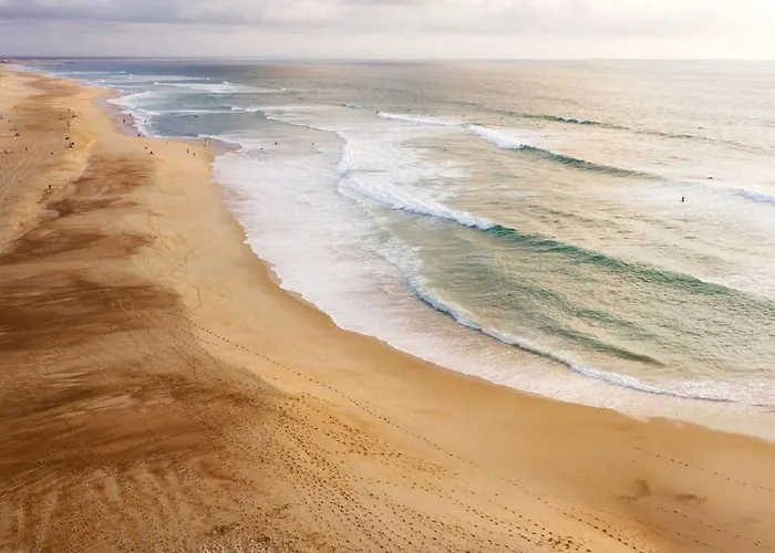 Appart' Cocooning Pret De La Foret アパート セノッス - ル・ペノン